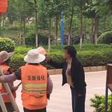 女子用垃圾桶懟綠化工是怎么回事？